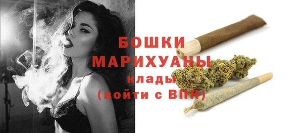 СК Арсеньев