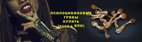 мяу мяу мука Армянск