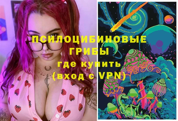 ГАЛЛЮЦИНОГЕННЫЕ ГРИБЫ Аркадак