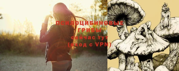 СК Арсеньев