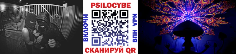 Купить где  Краснознаменск  Галлюциногенные грибы Cubensis 